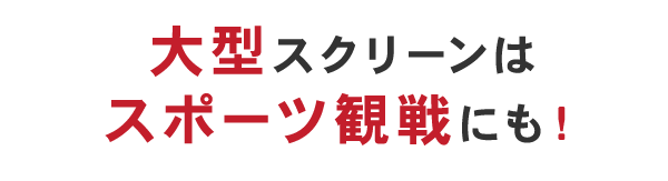 大型スクリーンはスポーツ観戦にも！