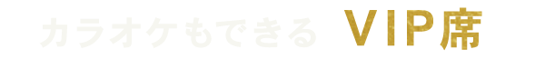 カラオケもできるVIP席！